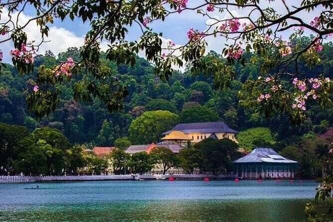 Kandy Day trip from Kalutara Beruwala Bentota Aluthgama Wadduwa - Temple of the Sacred Tooth Relic: the spiritual anchor of Kandy