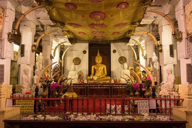 Kandy Day Trip with Tooth Relic Temple & Unique Attractions - 5am start from Bentota: the rhythm of a full Kandy day