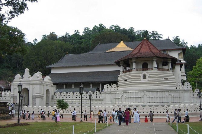 Kandy Day Trip with Tooth Relic Temple & Unique Attractions - Kadugannawa Tea Factory tastings: learn before you buy
