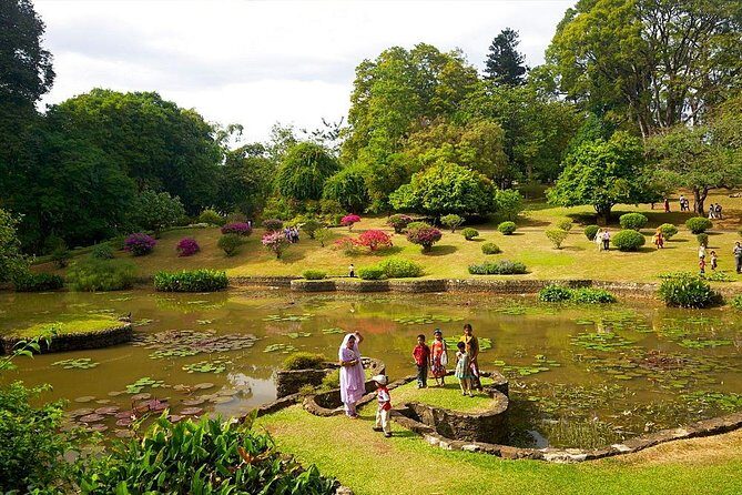 Kandy Day Trip with Tooth Relic Temple & Unique Attractions - Peradeniya Royal Botanical Gardens: the break you need