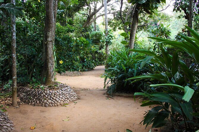 Kandy Full-Day Tour - Stop 3: Kandyan Art Association and lunch in Kandy
