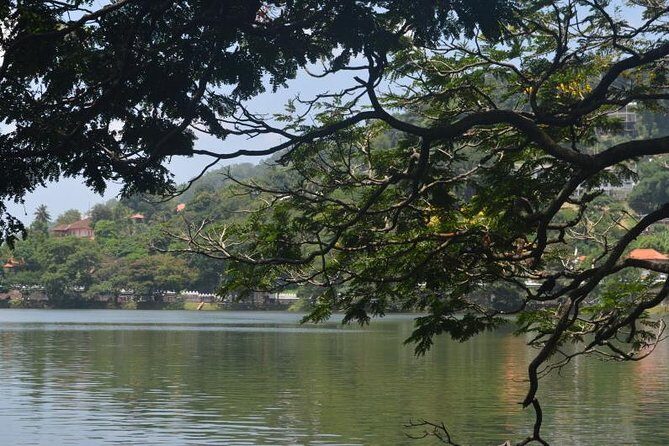 Kandy Full-Day Tour - Stop 5: Tea factory and tea estate in Kadugannawa