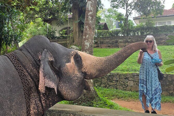 Kandy Full Day Tour Private All Inclusive - From Bentota to Kandy: the early start and what makes it worth it