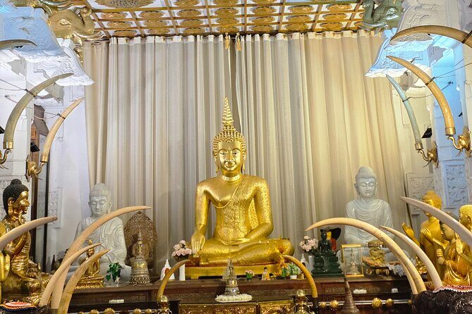 Kandy Full Day Tour Private All Inclusive - Mawanella spice and Ayurveda garden: plants you can actually name