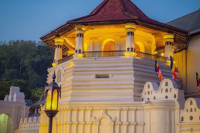 Kandy Full Day Tour Private All Inclusive - Royal Botanical Gardens in Peradeniya: the breathing room near Kandy