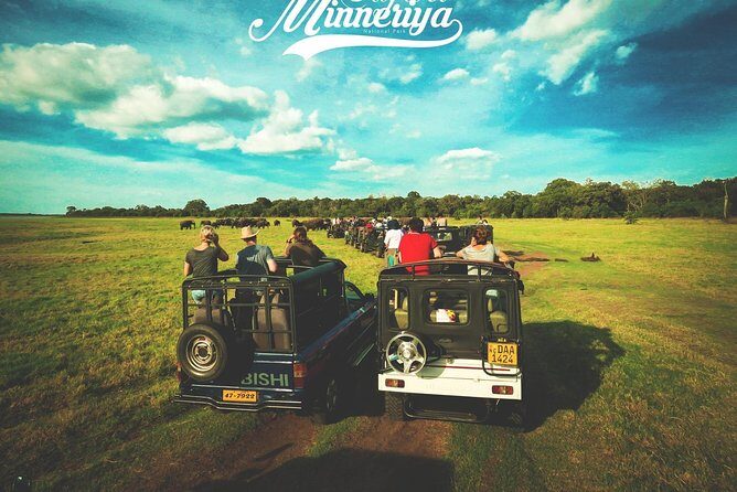 Kandy - Minneriya National park & Sigiriya Rock by tuk tuk tours - Private Tuk Tuk Comfort and On-Tour Wi‑Fi