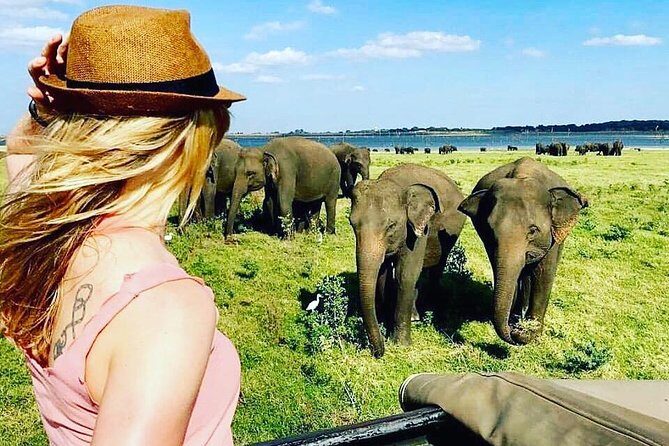 Kandy - Minneriya National park & Sigiriya Rock by tuk tuk tours - Who This Tour Suits Best (and Who Might Want a Different Plan)