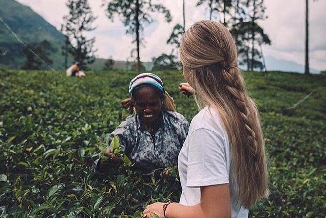 Kandy & Nuwara Eliya | 2 Days Tour - How this 2-day Kandy and Nuwara Eliya plan works (and why it’s good value)