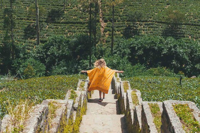 Kandy & Nuwara Eliya | 2 Days Tour - Price, inclusions, and what you should budget for