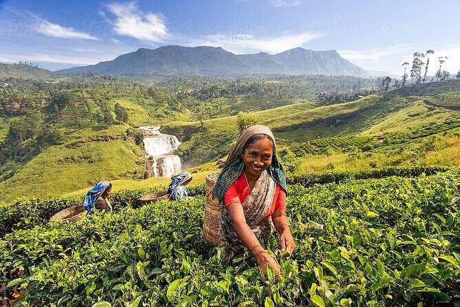 Kandy & Nuwara Eliya | 2 Days Tour - Who this tour fits best (and who should consider other options)