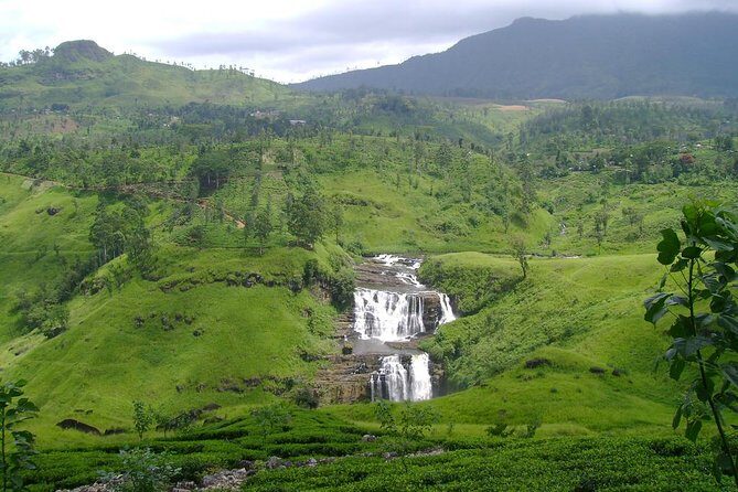 Kandy & Nuwara Eliya | 2 Days Tour - Should you book the Kandy & Nuwara Eliya 2-day private tour?