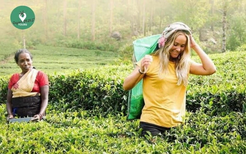 Kandy: Nuwara Eliya Day Explore by Tuk tuk with Local Guide - Ramboda Falls: The Walk That Makes It Feel Like More Than Sightseeing