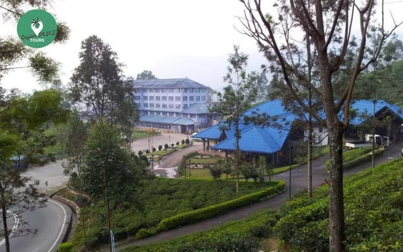 Kandy: Nuwara Eliya Day Explore by Tuk tuk with Local Guide - Tuk Tuk Country Rides: Great Views, Real Road Time
