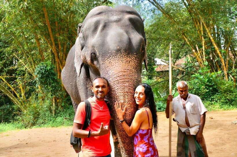 Kandy : Pinnawala Day Tour with Top Rated Local Guide - Pinnawala Elephant Orphanage: Care, Close Encounters, and Real Feelings