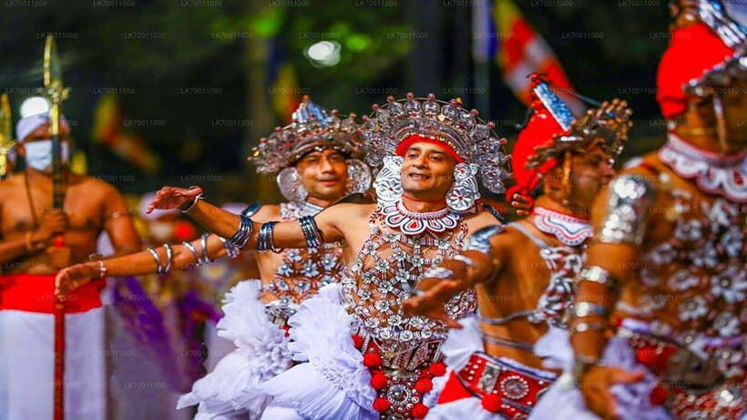 Kandy : Pinnawala Day Tour with Top Rated Local Guide - Who This Tour Fits Best (and Who Might Skip It)