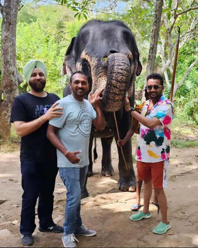 Kandy : Pinnawala Day Tour with Top Rated Local Guide - Kadugannawa Viewpoint: The Quick Photo Reset