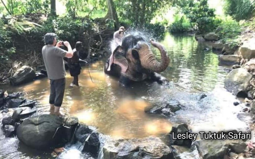 Kandy : Pinnawala Elephant Safari Private Guid Tuk Tuk Tour - Key highlights worth getting excited about