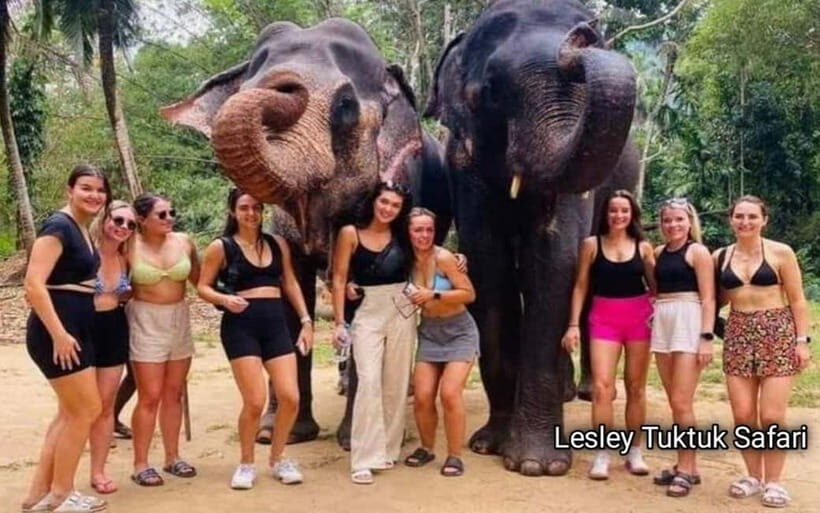 Kandy : Pinnawala Elephant Safari Private Guid Tuk Tuk Tour - Kadugannawa Railway Museum, tunnel time, and view-point photos