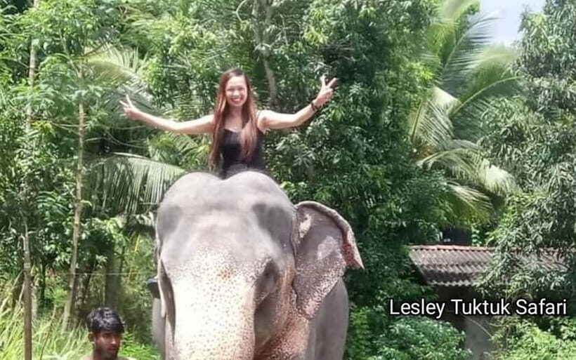 Kandy : Pinnawala Elephant Safari Private Guid Tuk Tuk Tour - Pinnawala Elephant Orphanage: feeding, wading, and what the setup actually is