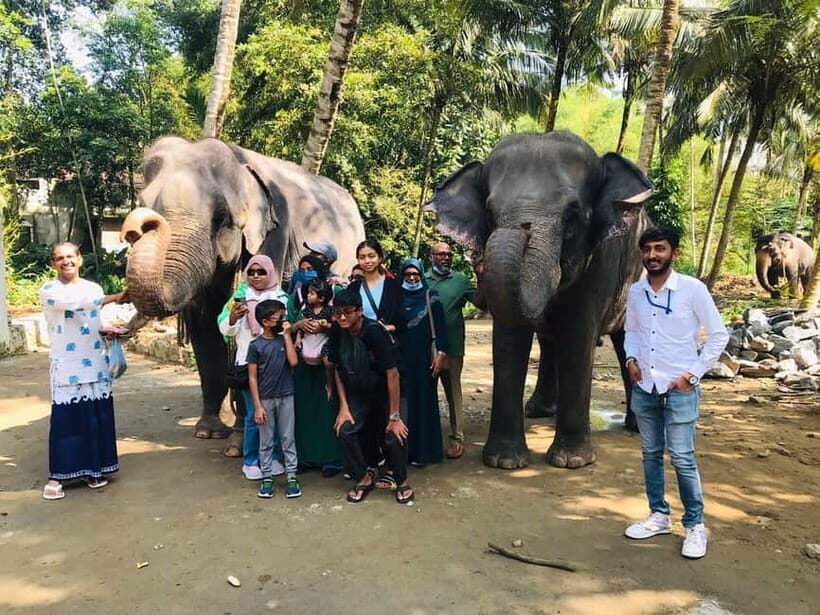 Kandy : Pinnawala Elephant Safari Private Guid Tuk Tuk Tour - Kandy viewpoints and temple highlights: Sacred Tooth Relic to Bahirawakanda
