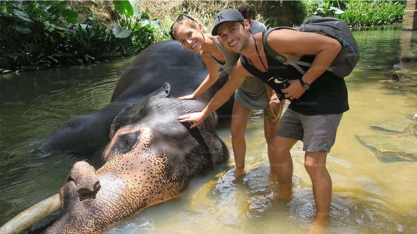 Kandy : Pinnawala Elephant Safari Private Guid Tuk Tuk Tour - Practical tips so your day stays comfortable (and photogenic)