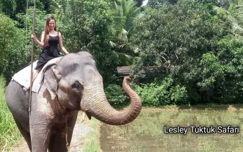 Kandy : Pinnawala Elephant Safari Private Guid Tuk Tuk Tour - From Kandy hotel pickup to the first road-side stops
