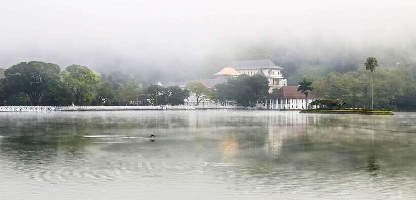 Kandy, Pinnawala Private Day Trip From The West Coast Beach - Price and Value: What $199 Includes, and What Adds Up Fast
