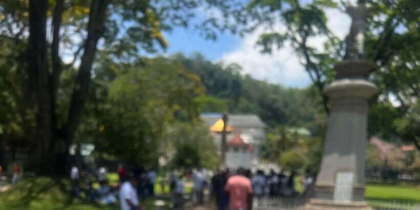 Kandy: Private City Highlights Guided Tour by Tuk-Tuk - Gemstone-Focused Museum, Batik Process, and Cinnamon Garden