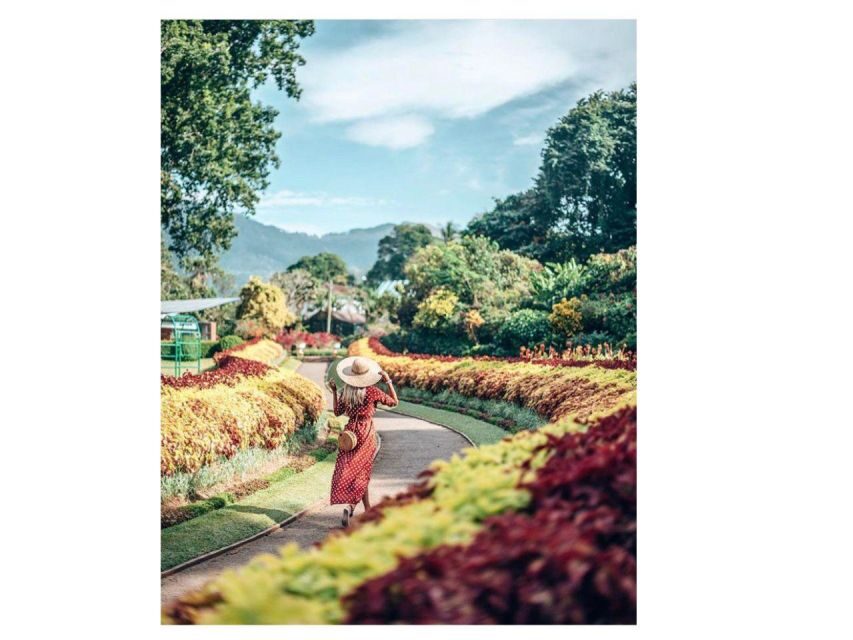 Kandy Private Guided City Day Tour by Local Tuk Tuk - Asgiriya, hilltop temples, and Kandy’s big spiritual hits