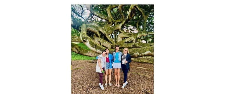 Kandy Private Guided City Day Tour by Local Tuk Tuk - Gems, the Kandyan Cultural Centre, and the dance show option