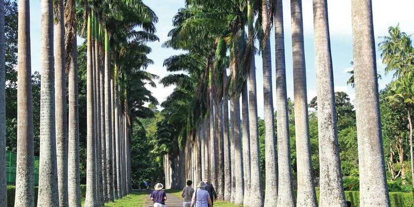 Kandy: Private Guided City Tours by Tuk Tuk Sightseeing Tour - Kandy Wood Crafting: Watch the Craft, Don’t Feel Pressured