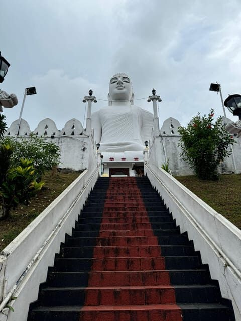 Kandy: Private Guided Tour with Local Highlights by Tuk Tuk - Tea plantation stop and the Mahawali River wildlife chances