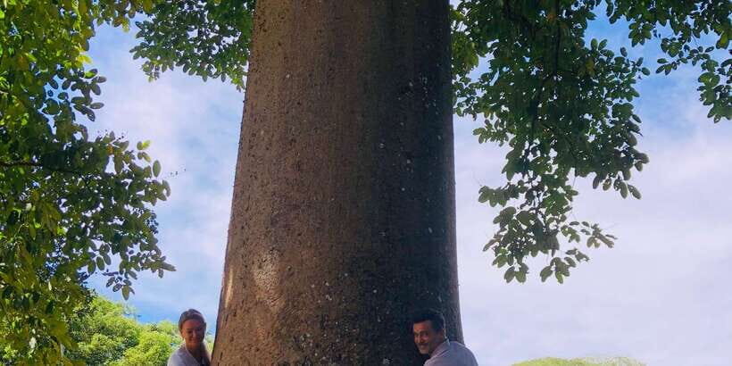 Kandy privet day tour with pinnawala and Tea plantation - Kandy in one day: elephants, sacred relics, and tea country
