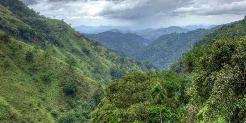 Kandy: Shanthipura and Nuwara Eliya - A cool hill-country day that starts in Kandy