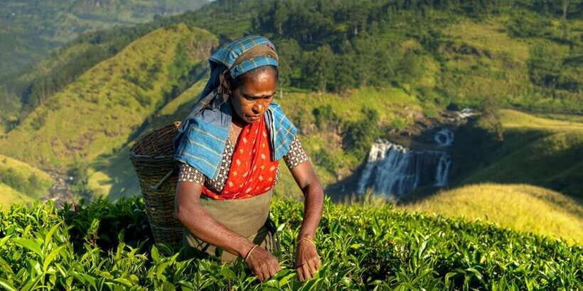 Kandy: Shanthipura and Nuwara Eliya - Shanthipura at 4:00PM: highest northeast village views and sunset photos
