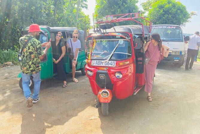 Kandy, Sigiriya and Pidurangala Rock Tuk Tuk Safari - The Minneriya elephant-spotting safari: best done with clear expectations