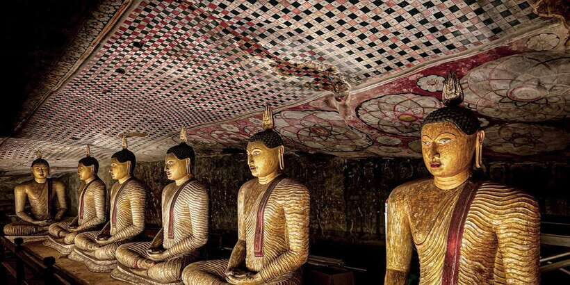 Kandy: Sigiriya Dambulla & Minneriya Park Safari day tour - Key takeaways before you book