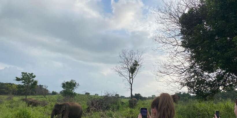 Kandy: Sigiriya, Dambulla & Wildlife Safari Private Tour - Price and tickets: what $19 gets you (and what costs extra)