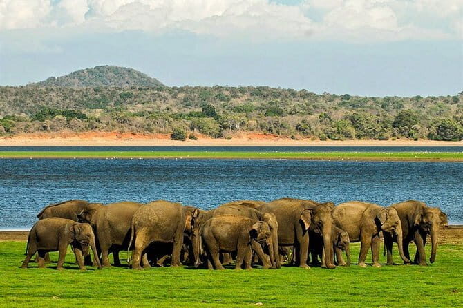 Kandy Sigiriya Rock and Village Safari Day Trip - Who this day trip suits best (and who should pick something else)