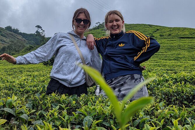 Kandy To Dambulla and Sigiria City Full Day by Laka Tours - Stop 5: Royal Botanical Gardens—royal-era access turned public today