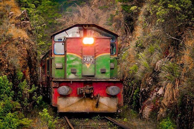 Kandy to Ella train ride on (Train No: 1015 "Udarata Menike") - Station Reality: Mobile Ticket, Small Group, and Where You Start