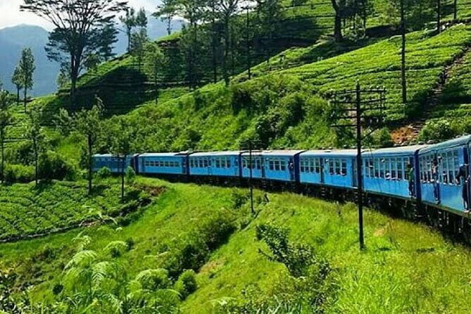 Kandy to Nanu Oya train ride on (Train No: 1005 "Podi Menike") - Key highlights you’ll care about