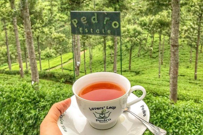 Kandy to Nuwara Eliya Day Tour - Key highlights worth your attention
