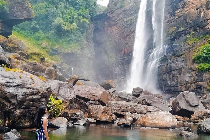 Kandy to Nuwara Eliya Day Tour - Tea plantation + tea factory: how to get more than just a photo stop