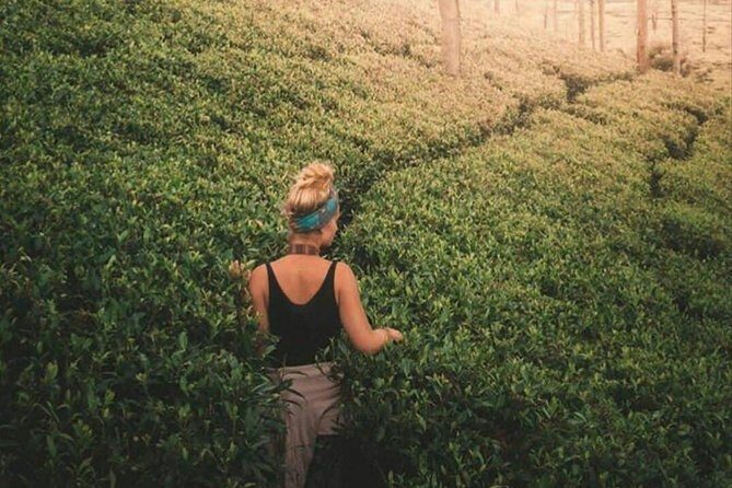 Kandy to Nuwara Eliya Day Tour - Gregory Lake in Nuwara Eliya: the calm center of the day