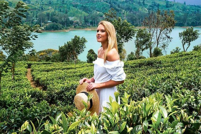 Kandy to Nuwara Eliya Day Tour - The guide factor: why named drivers matter on this kind of tour
