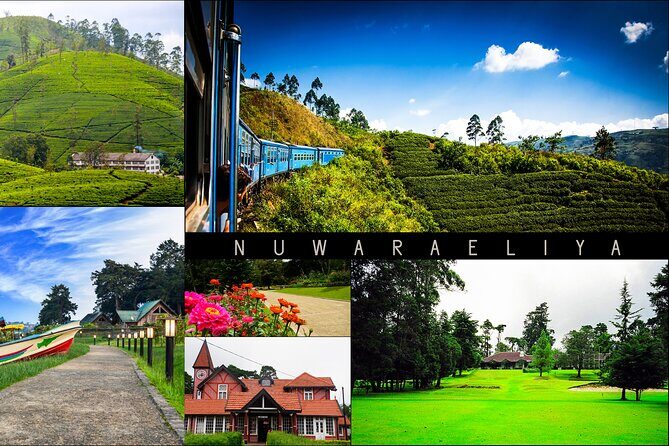Kandy to Nuwara Eliya Day Trip – Little England & Tea Country - Key things to know before you go