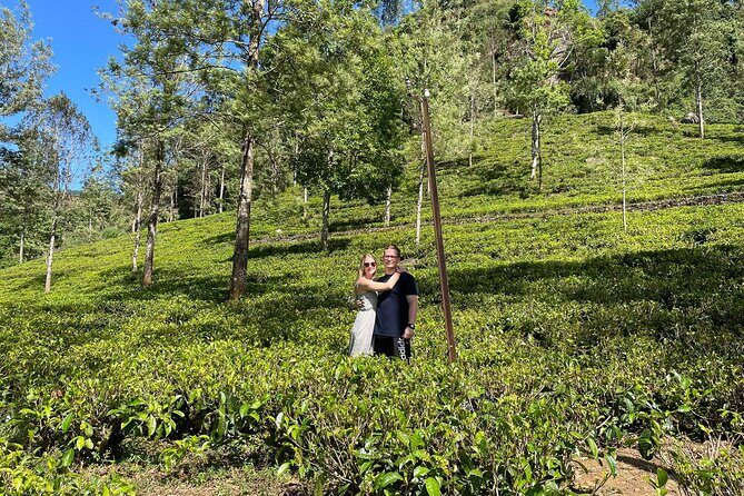 Kandy to Nuwara Eliya Day Trip – Little England & Tea Country - Gregory Lake plus Victoria Park and the racecourse