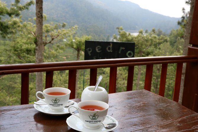 Kandy to Nuwara Eliya Day Trip – Little England & Tea Country - Little England pacing: time for photos, not rush