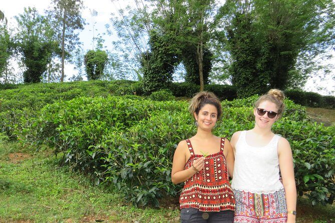 Kandy to Nuwara Eliya Day Trip – Little England & Tea Country - Practical tips for temples, hiking, and rainy-day luck